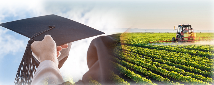 Peluang pekerjaan graduan Diploma Pengurusan perladangan